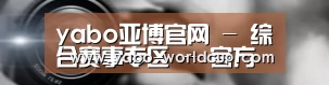 公司动态