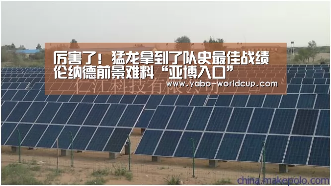 厉害了!猛龙拿到了队史最佳战绩 伦纳德前景难料“亚博入口”(图4) 亚博入口