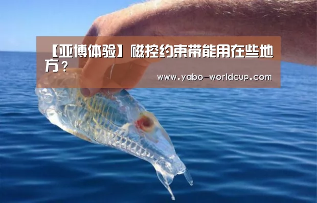 【亚博体验】磁控约束带能用在些地方?(图1) 亚博入口