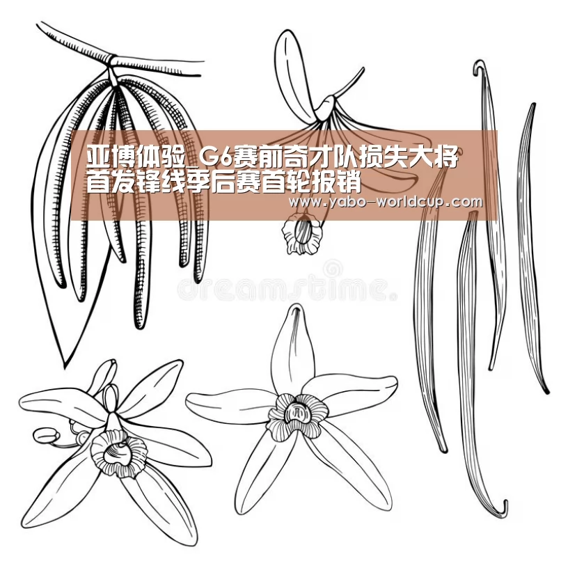 亚博体验_G6赛前奇才队损失大将 首发锋线季后赛首轮报销(图3) 亚博体验
