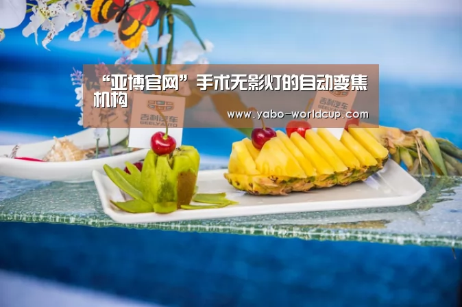 “亚博官网”手术无影灯的自动变焦机构(图2) 亚博入口