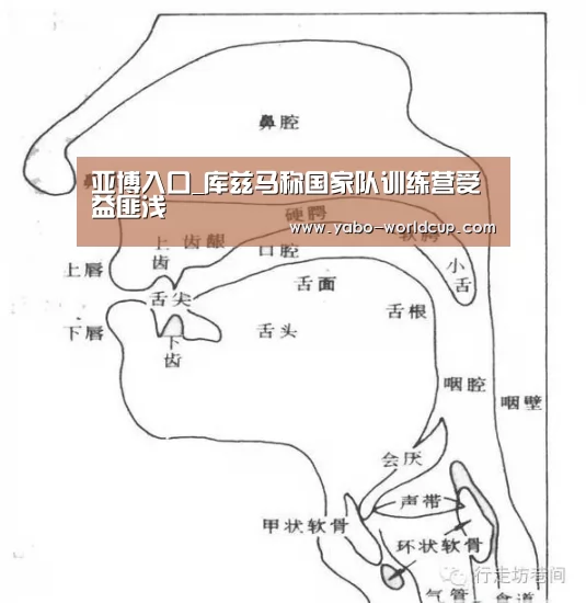 亚博入口_库兹马称国家队训练营受益匪浅(图2) 亚博入口